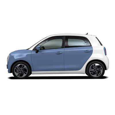ORA BLACK CAT Mini EV Cars 4 Wheels Adult Rhd Electric Cars Smart CE