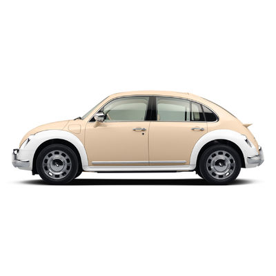 401km 500km Mini EV Cars 155km/Hr GWM Ora Ballet Cat Range 5 Sender Hatchback Electric Cars