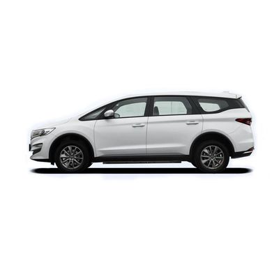 Lifan Maple Leaf 80V Automobile EV Five Door Six Seat MPV Car Electric Car Reception Business