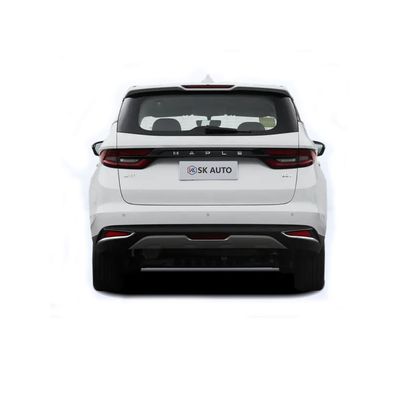 Lifan Maple Leaf 80V Automobile EV Five Door Six Seat MPV Car Electric Car Reception Business